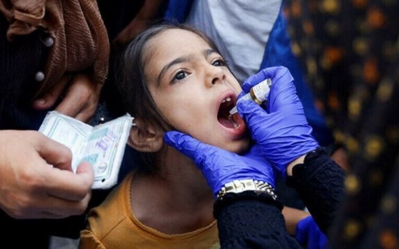 د روغتیا نړۍوال سازمان: غزه کې د پولیو واکسین کمپاین لومړی پړاو په بریالیتوب پایته ورسېد