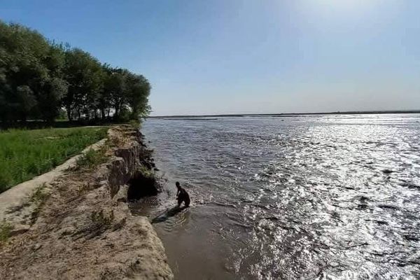 طالبان: د امو سیند نفتي حوزې تړون د قراردادي شرکت د سرغړونو له امله لغوه شو