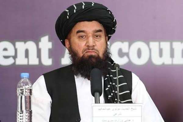 د طالبانو د عدلیې وزیر شپږ ټوټې ځمکې د خپلې کورنۍ د غړو په نوم ثبت کړې دي