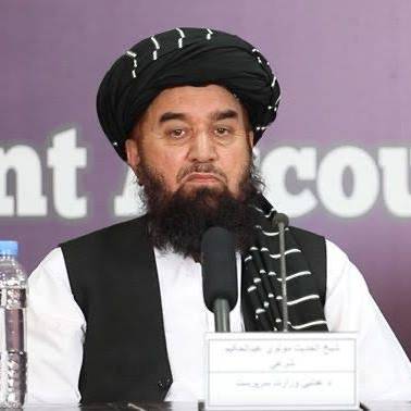 د طالبانو د عدلیې وزیر شپږ ټوټې ځمکې د خپلې کورنۍ د غړو په نوم ثبت کړې دي