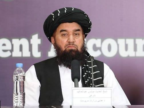 د طالبانو د عدلیې وزیر شپږ ټوټې ځمکې د خپلې کورنۍ د غړو په نوم ثبت کړې دي