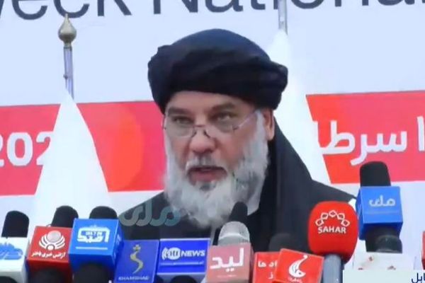 طالبانو د یو میلیارد ډالرو په ارزښت د ۵۰ هوکړه لیکونو د لاسلیکولو خبر ور کړی