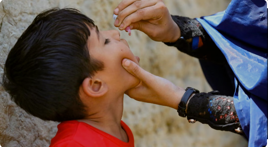 د افغانستان په ټولو ولایتونو کې د ګوزڼ ضد واکسین پېلیږي