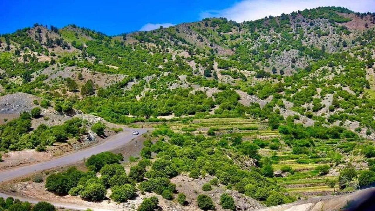 طالبان در خوست یک نفر را به اتهام توهین به مقدسات پیش چشم مردم شلاق زد