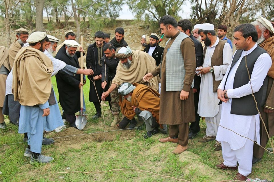 طالبان وایي، ننګرهار کې د ستروسو او ګیلاسو تر ۱۵۰ جریبه ډېر بڼونه جوړ شوي