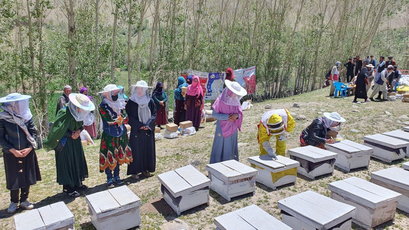 سازمان ملل: تا سال ۲۰۲۶ برای ۲۰۰ هزار خانواده امکانات معیشتی فراهم می‌شود