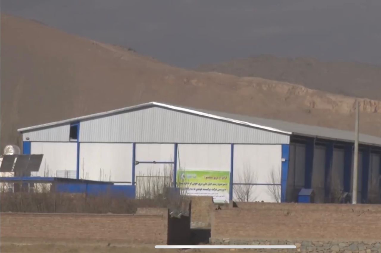 د کرنې او مالدارۍ خونه: د ازبکستان سوداګر د سړو خونو جوړولو کې ۱۰ مېلیونه ډالر پانګونه کوي