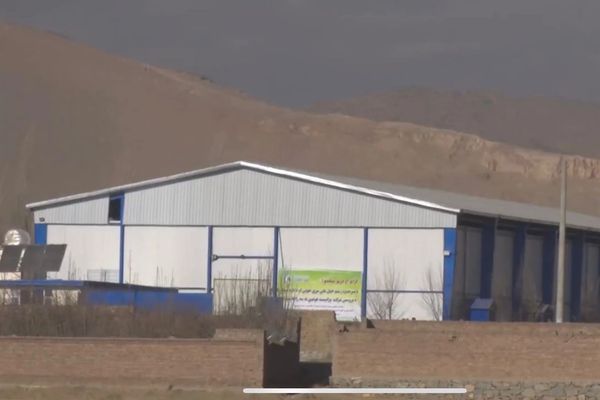 د کرنې او مالدارۍ خونه: د ازبکستان سوداګر د سړو خونو جوړولو کې ۱۰ مېلیونه ډالر پانګونه کوي