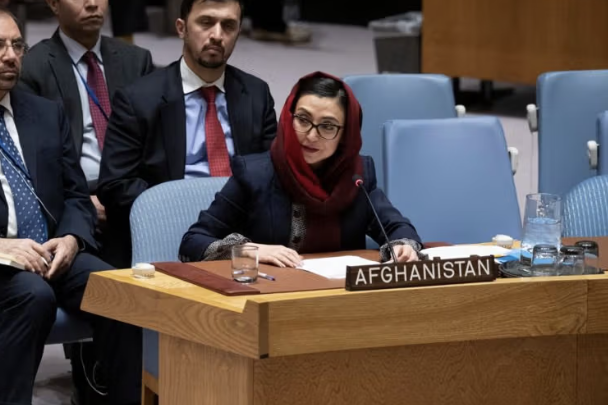 السفيرة السابقة لأفغانستان تنضم كعضو في اللجنة الاستشارية للأمم المتحدة