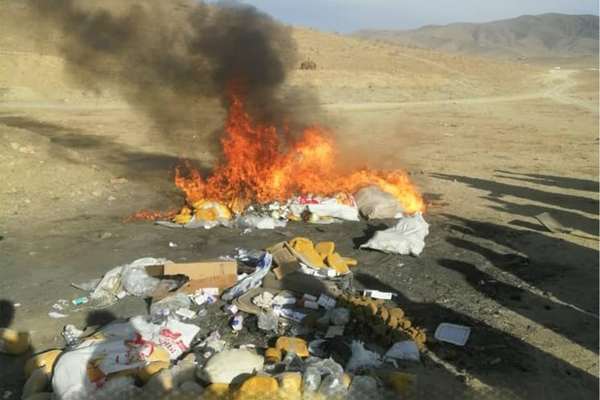 طالبان: غزني کې مو نږدې ۹ زره کیلوګرامه نشهيي توکي سوځولي دي