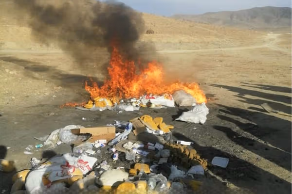 طالبان: غزني کې مو نږدې ۹ زره کیلوګرامه نشهيي توکي سوځولي دي