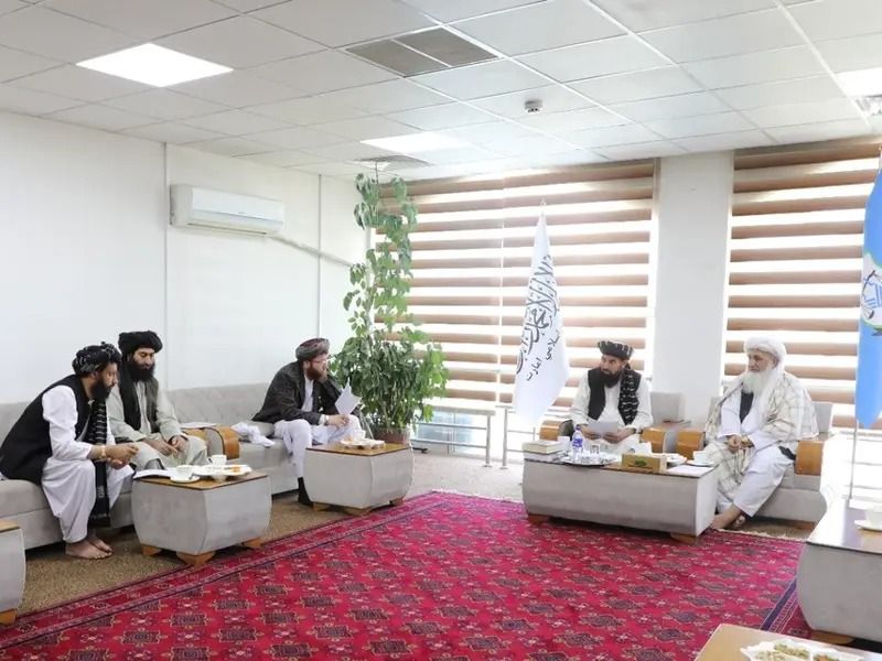 طالبان: ګلبدین حکمتیار ته په تېر حکومت کې د ورکړل شوې ځمکې په هکله لازم تصمیم نیول شوی