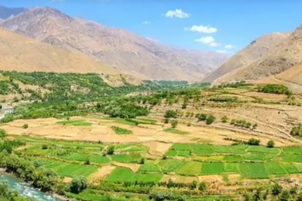 Panjshir Families Allege Threats, Torture by Taliban to Get Girls Married, Say Sources