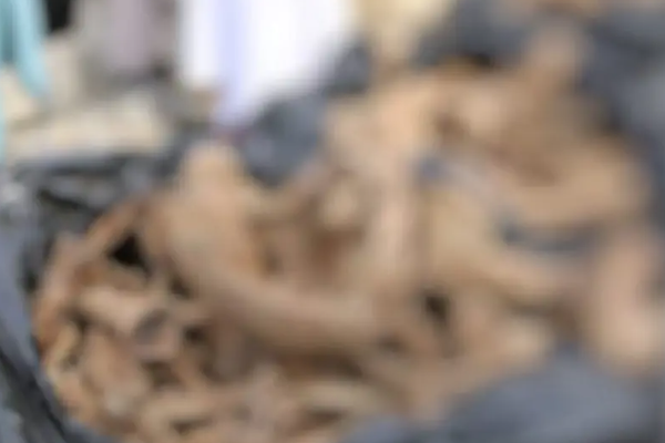 Taliban Announced Discovery of Mass Grave in Khost Province