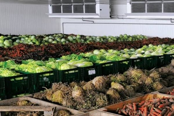 طالبان: سرمایهگذاران سردخانهها از معافیت مالیاتی پنجساله برخوردار خواهند شد