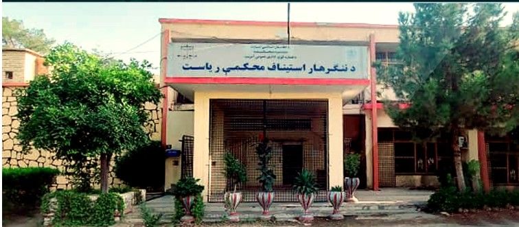 طالبان در ننگرهار یک زن را به اتهام «فرار از خانه» شلاق زد