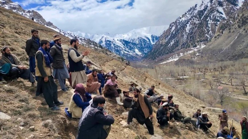 طالبان وایي د نورستان په شپږو ولسوالیو کې پر ۲۵ هکتاره ځمګه د غوزانو بڼونه جوړېږي