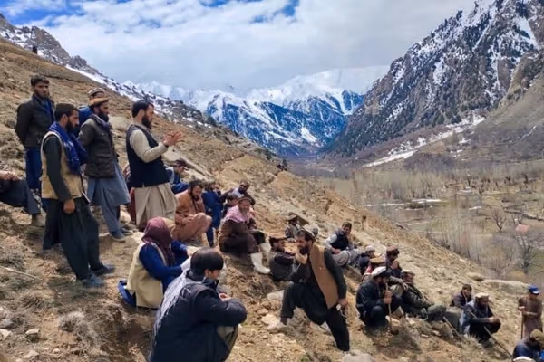 طالبان وایي د نورستان په شپږو ولسوالیو کې پر ۲۵ هکتاره ځمګه د غوزانو بڼونه جوړېږي