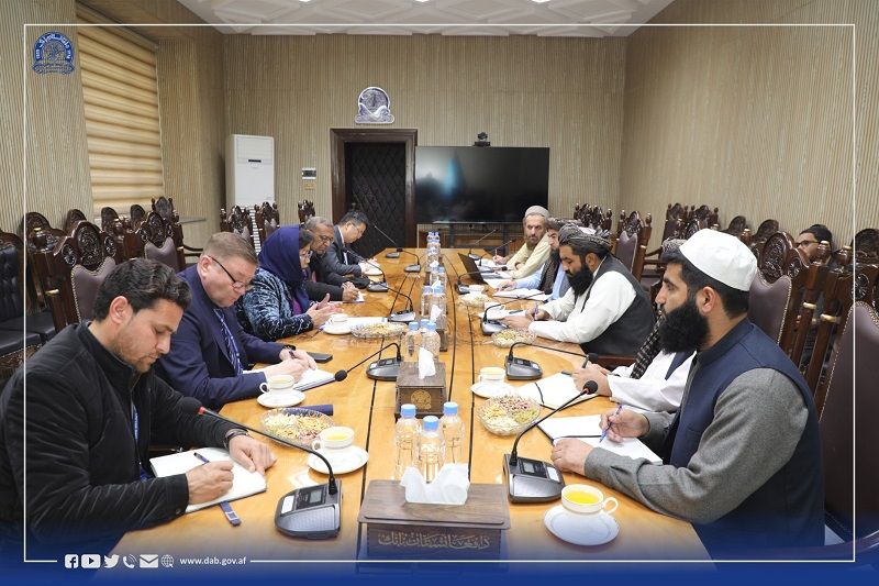 اوتنبایوا: په افغانستان کې د اقتصادي ودې او کارو بارونو لپاره د کوچنیو مالي تمویل مهم دی