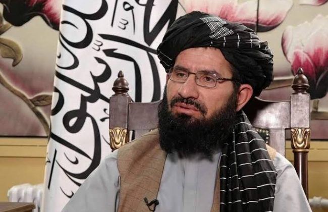 حیات‌الله مهاجر فراهي: رسنیز فعالان دې له «بې‌باکه څرګندونو» ډډه وکړي