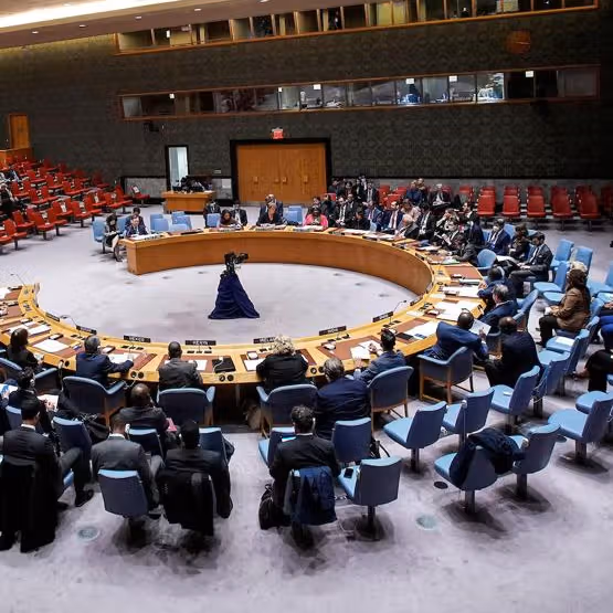 شورای امنیت سازمان ملل حمله به رستورانت چینیها در کابل را محکوم کرد