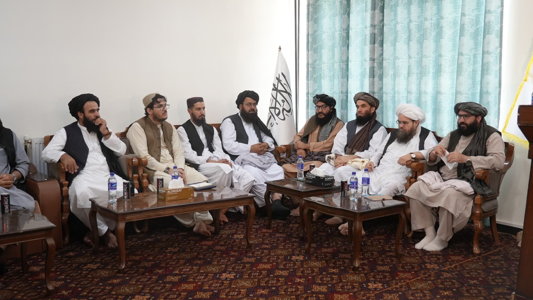 طالبانو یو شمېر پخوانیو ستنو شویو چارواکو ته «د خوندیتوب کارتونه» ورکړل