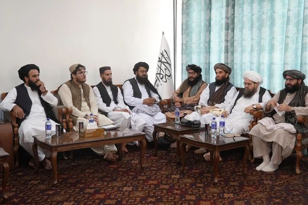 طالبانو یو شمېر پخوانیو ستنو شویو چارواکو ته «د خوندیتوب کارتونه» ورکړل