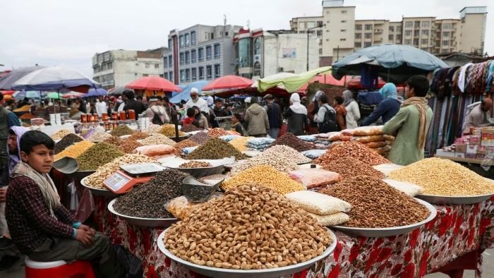 افغانستان در سال گذشته ۶۴ میلیون دالر کالا به چین صادر کرد که نزدیک به ۹۰ درصد آن جلغوزه بود