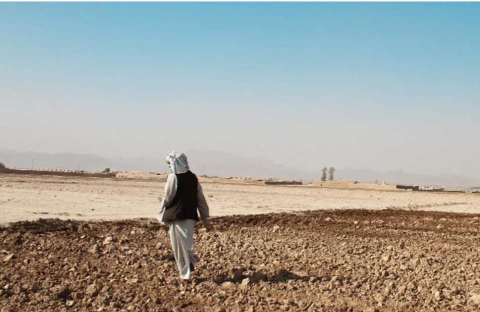 بحران شدید امنیت غذایی در افغانستان؛ بانک جهانی خواستار راهکارهای بلندمدت شد