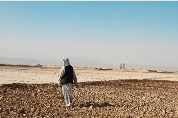 بحران شدید امنیت غذایی در افغانستان؛ بانک جهانی خواستار راهکارهای بلندمدت شد