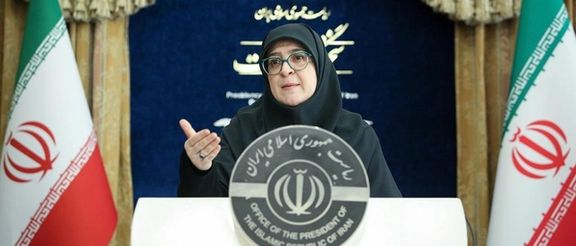 سخنگوی دولت جمهوری اسلامی میگوید ظرفیت مهاجران افغان بررسی میشود