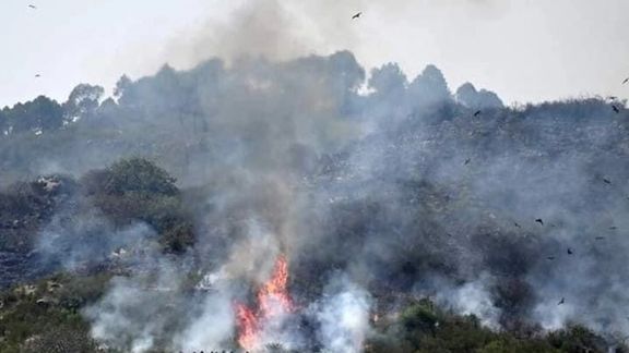 د نورستان په ځنګلونو کې اورلګېدنې لسګونه جریبه ځنګل سوځولی