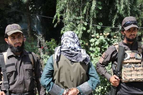 طالبان: په شپږو ولایتونو کې مو د بېلابېلو جرمونو په تړاو ۱۵ کسان نیولي