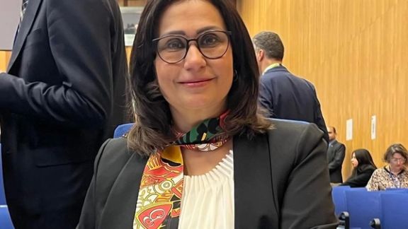 په اتریش کې افغان سفیرې د طالب مشرانو د نیولو د حکم له مطرح کیدو هرکلی وکړ