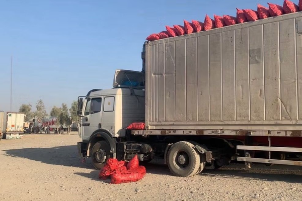 أكثر من 200 شاحنة محمّلة بالفواكه متوقفة على الحدود بين أفغانستان وباكستان