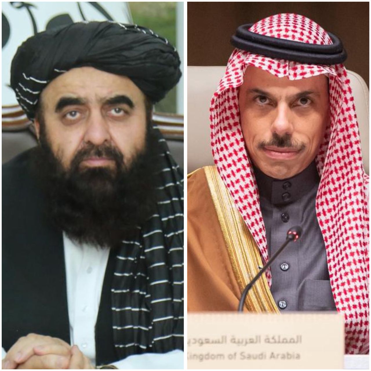 د طالبانو او عربستان د بهرنیو چارو وزیران د شخړو پر سوله ییز حل غږیدلي