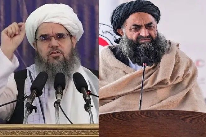 رئیس هلال احمر افغانی پدر دامادش را به عنوان مشاور خود مقرر کرد