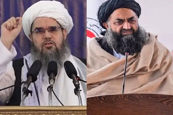 رئیس هلال احمر افغانی پدر دامادش را به عنوان مشاور خود مقرر کرد