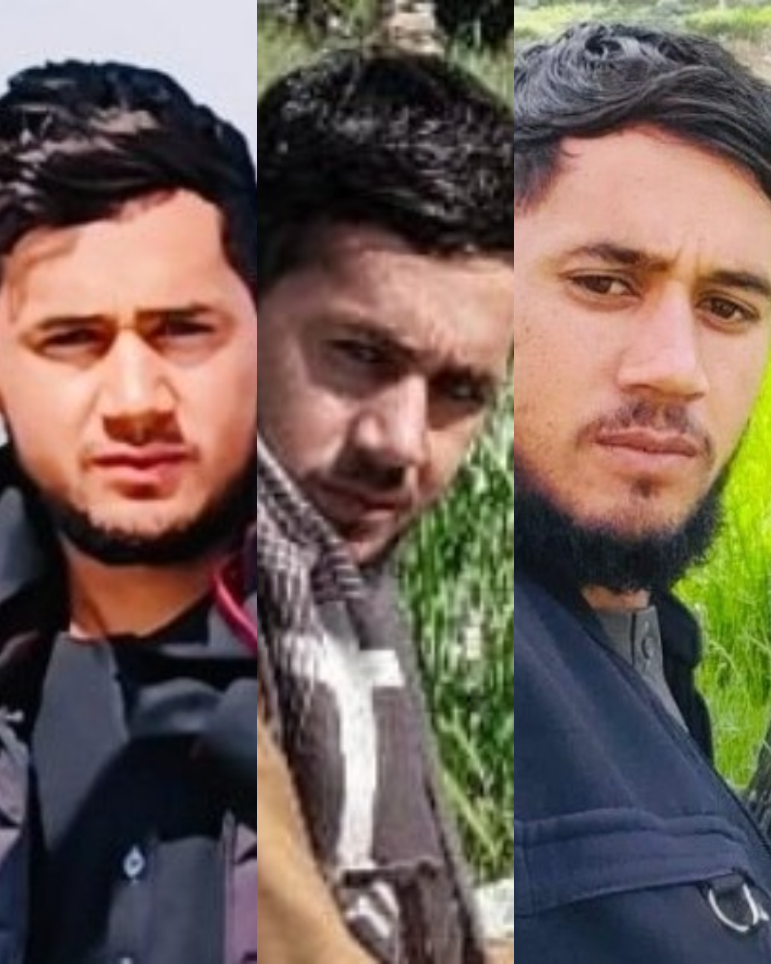 سه عضو روند سبز 'در درگیری با طالبان در لغمان کشته شدند'