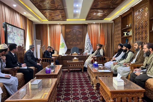 طالب او ترکمنستاني چارواکي د ټاپې پروژې په مسیر کې د ځمکو د استملاک په اړه غږېدلي