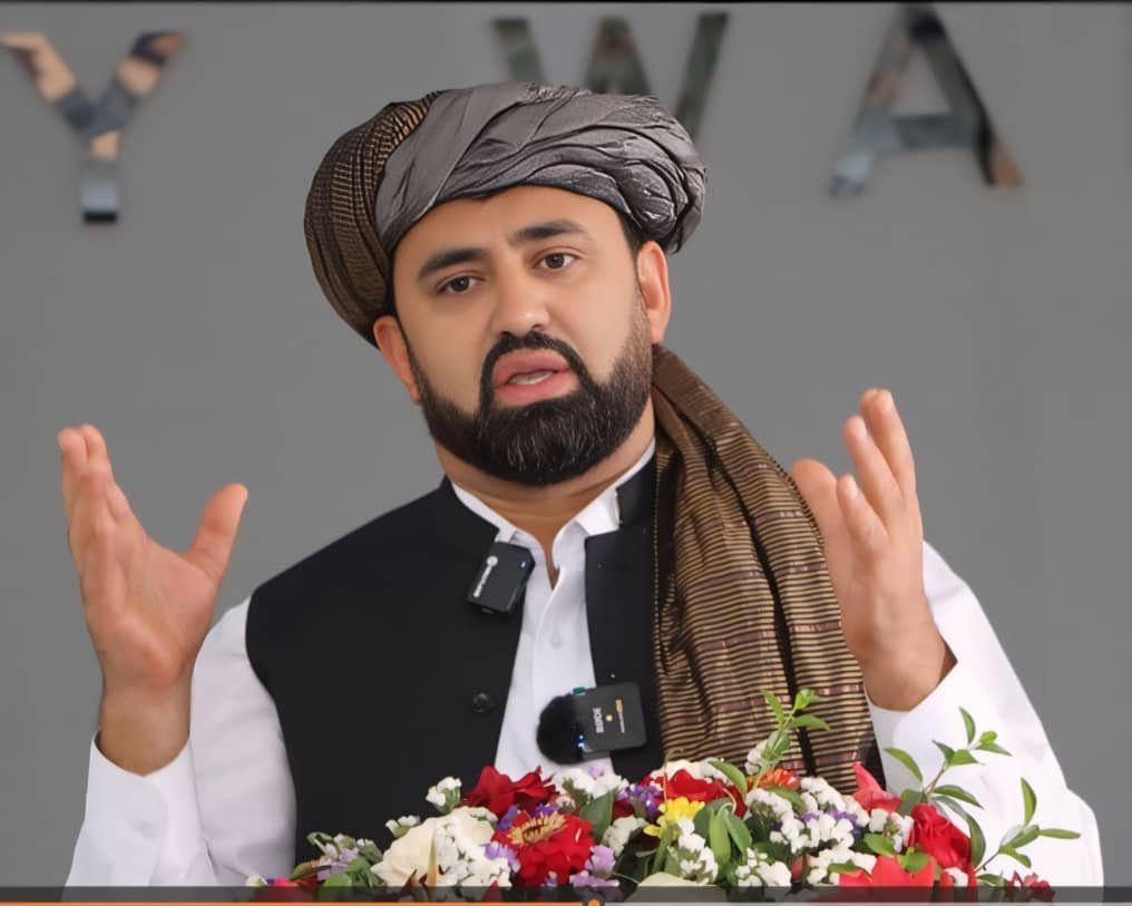 د امریکا د کورني امنیت وزارت: میرزا کټوازی د کډوالۍ قانون له مخې له امریکا د اېستلو وړ دی