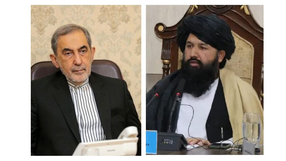 طالبانو له ایران نه د اسلامي ازاد پوهنتون د څانګې پراختیا غوښتنه کړې