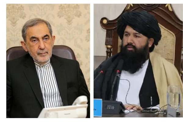 طالبانو له ایران نه د اسلامي ازاد پوهنتون د څانګې پراختیا غوښتنه کړې