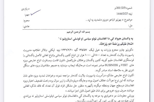 د طالبانو د کورنیو چارو وزارت: پاکستانیانو ته د قانون خلاف د افغانستان ویزې ورکول کېږي