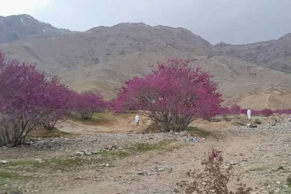 Taliban Prevents Women From Entering Recreational Area During Eid Celebrations