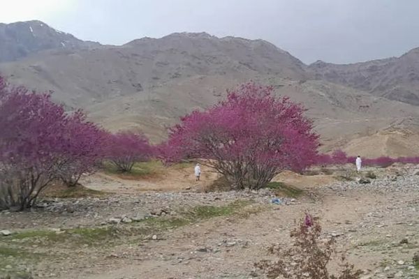 Taliban Prevents Women From Entering Recreational Area During Eid Celebrations