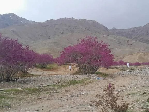 Taliban Prevents Women From Entering Recreational Area During Eid Celebrations