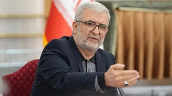 نماینده پیشین ایران در امور افغانستان اتهام امنیتی علیه مهاجران افغان را رد کرد