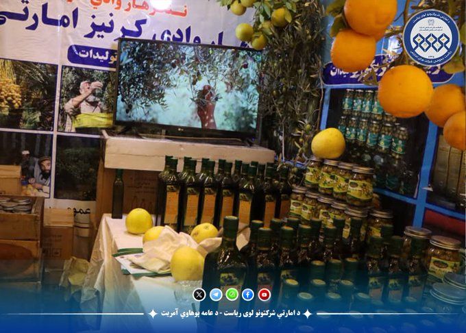 په کابل کې د «امام ابوحنیفه» څلورم ملي او نړۍوال نندارتون سبا پرانېستل کېږي