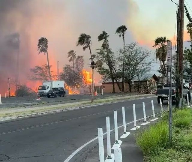 آمار تلفات آتش‌سوزی‌های جنگلی در هاوایی امریکا به ۸۰ نفر رسید 